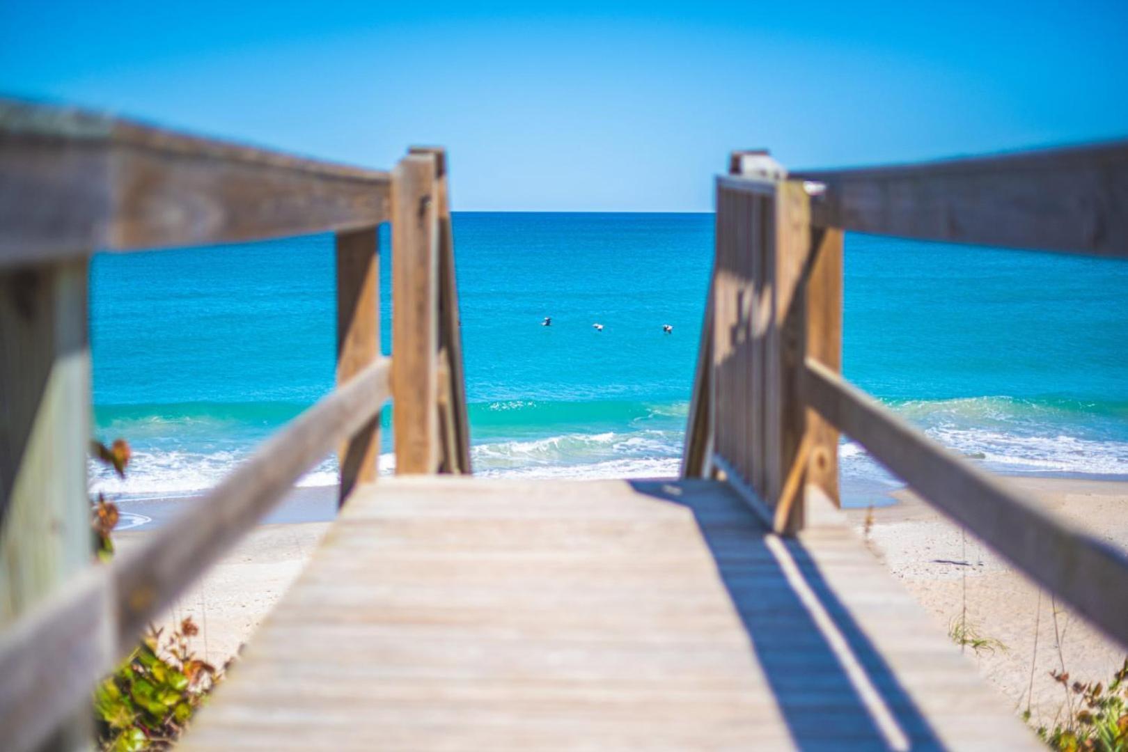 Tranquility Seahorse Suite - Oceanfront Paradise! Melbourne Beach Esterno foto