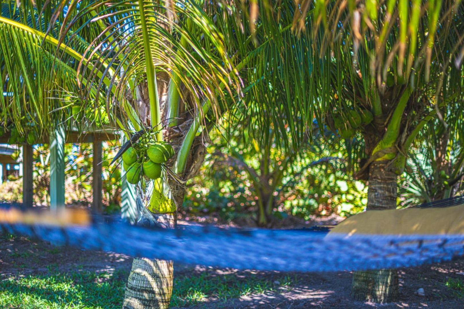 Tranquility Seahorse Suite - Oceanfront Paradise! Melbourne Beach Esterno foto